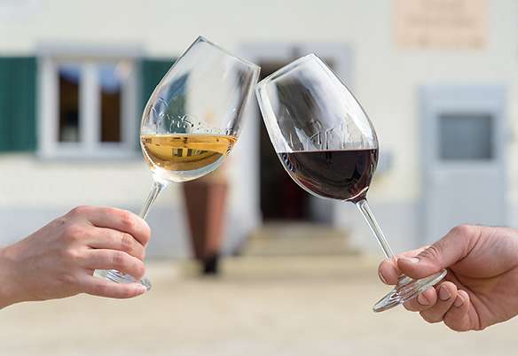 Logez Rüedi Wein und Getränke Anstossen Weingläser
