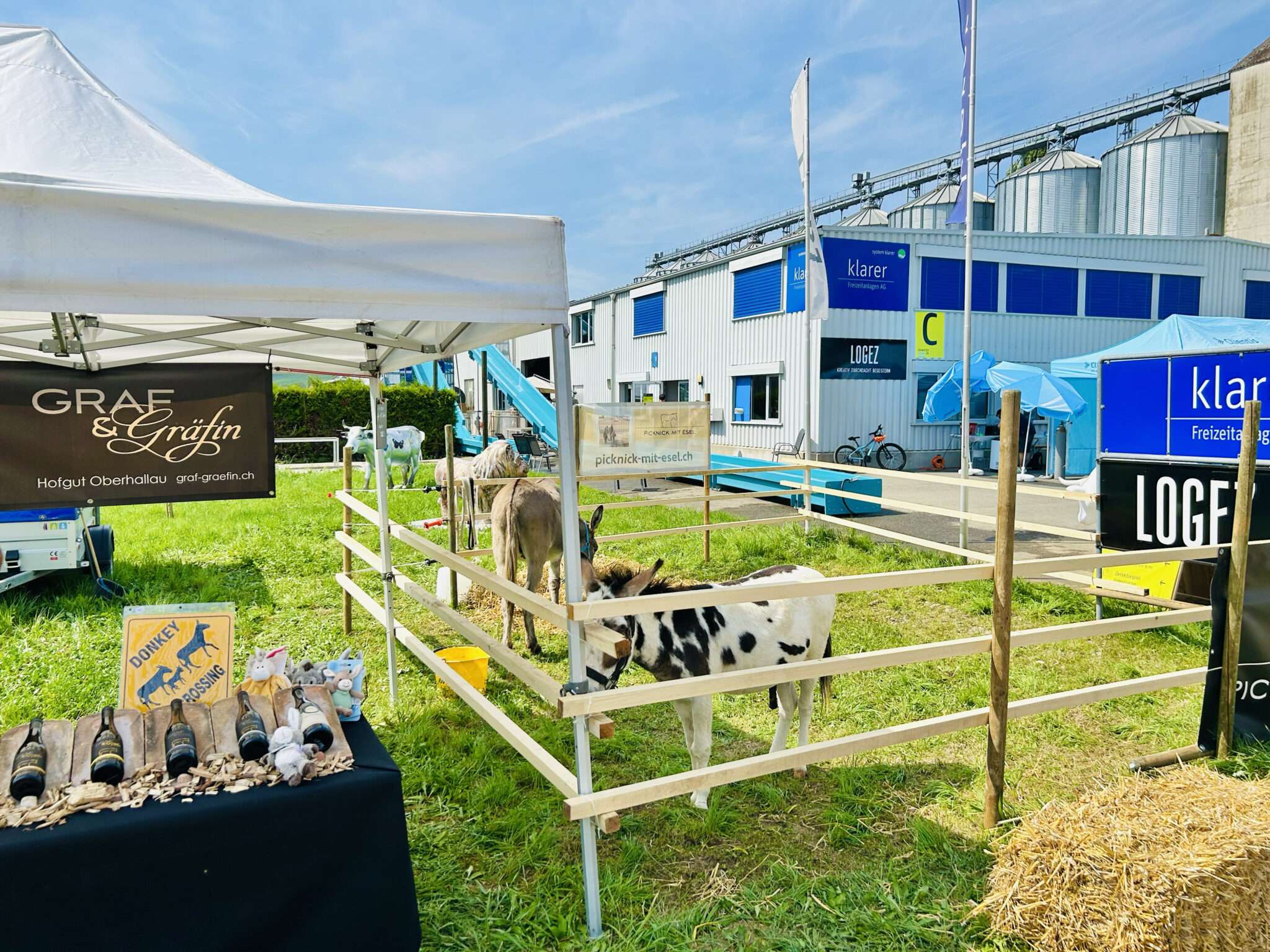 Esel, Pony und Kuh an der Gewerbeschau